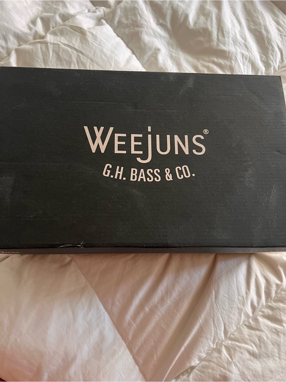 WEEJUNS G.H. Bass & Co. Loafers